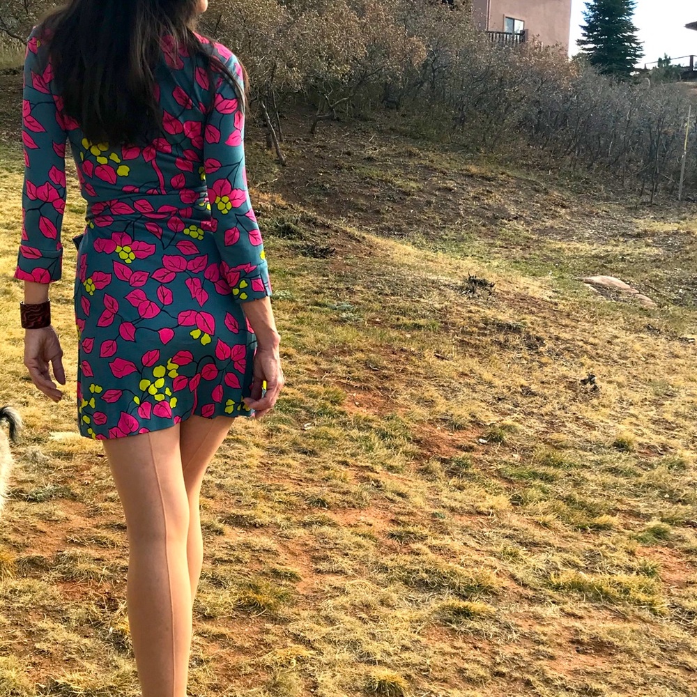 Diane Von Furstenberg “working girl” wrap dress.